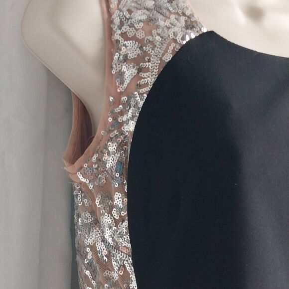 NWT R&M RICHARDS Embroidered Sequin Dress Size 6 - Picture 8 of 12